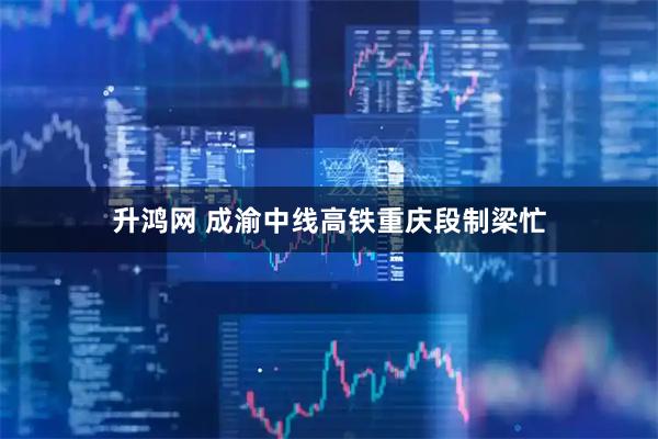 升鸿网 成渝中线高铁重庆段制梁忙