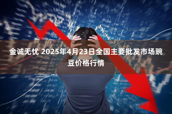 金诚无忧 2025年4月23日全国主要批发市场豌豆价格行情