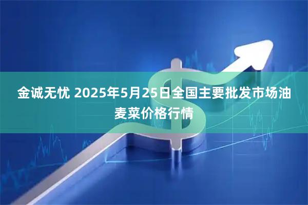 金诚无忧 2025年5月25日全国主要批发市场油麦菜价格行情