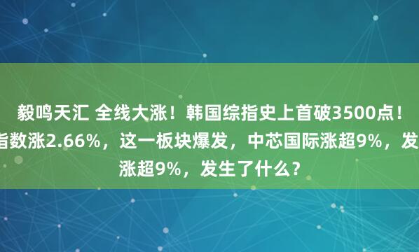 毅鸣天汇 全线大涨！韩国综指史上首破3500点！恒生科技指数涨2.66%，这一板块爆发，中芯国际涨超9%，发生了什么？