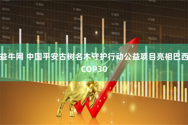 益牛网 中国平安古树名木守护行动公益项目亮相巴西COP30