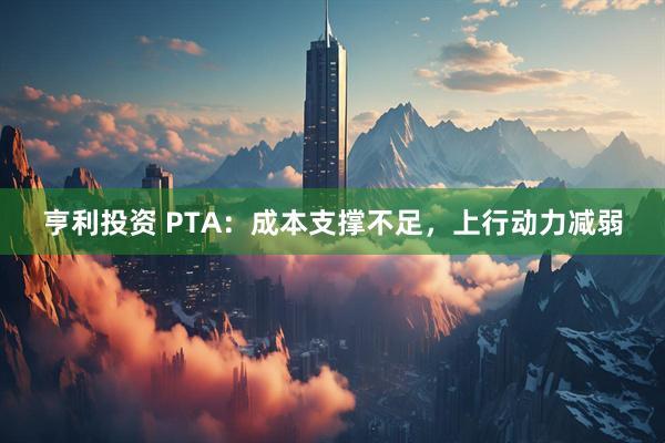 亨利投资 PTA：成本支撑不足，上行动力减弱